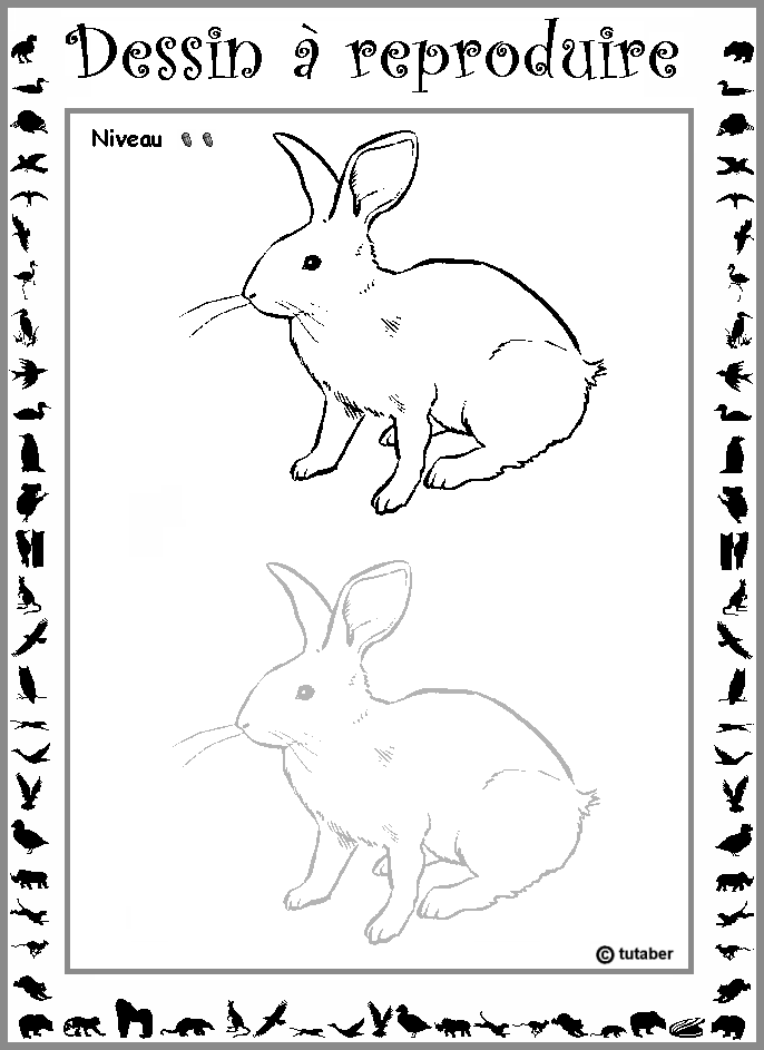 Dessiner un lapin : niveau 2