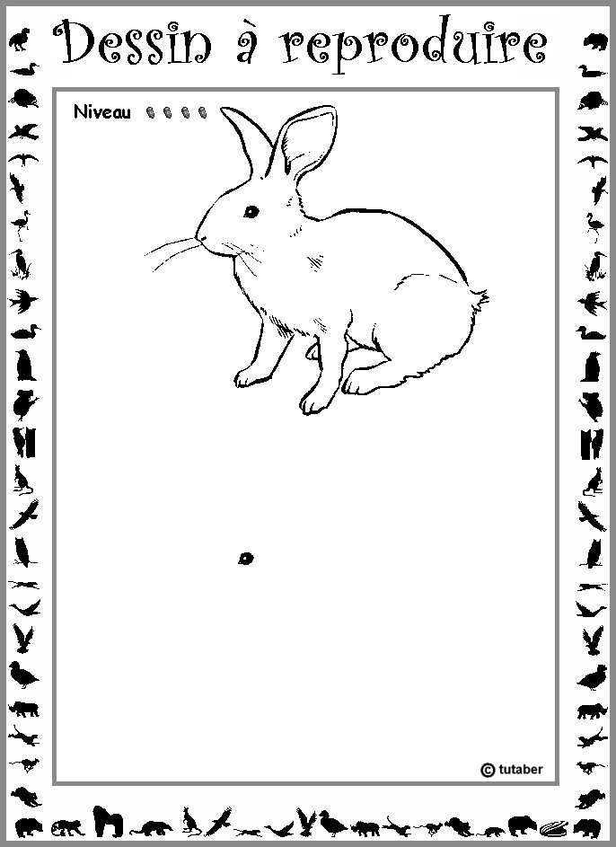 Dessiner un lapin : niveau 4