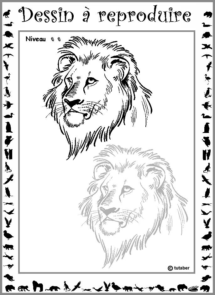 Dessiner un lion