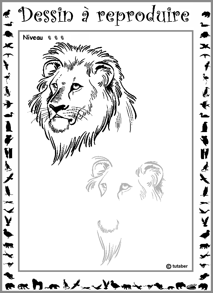 Dessiner un lion