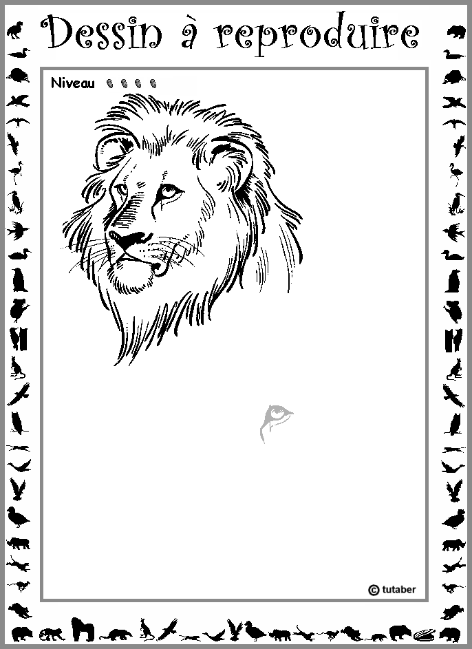 Dessiner un lion