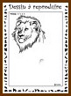 Aperu lion niveau 4