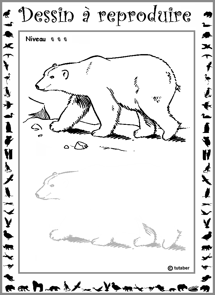 Dessiner un ours polaire