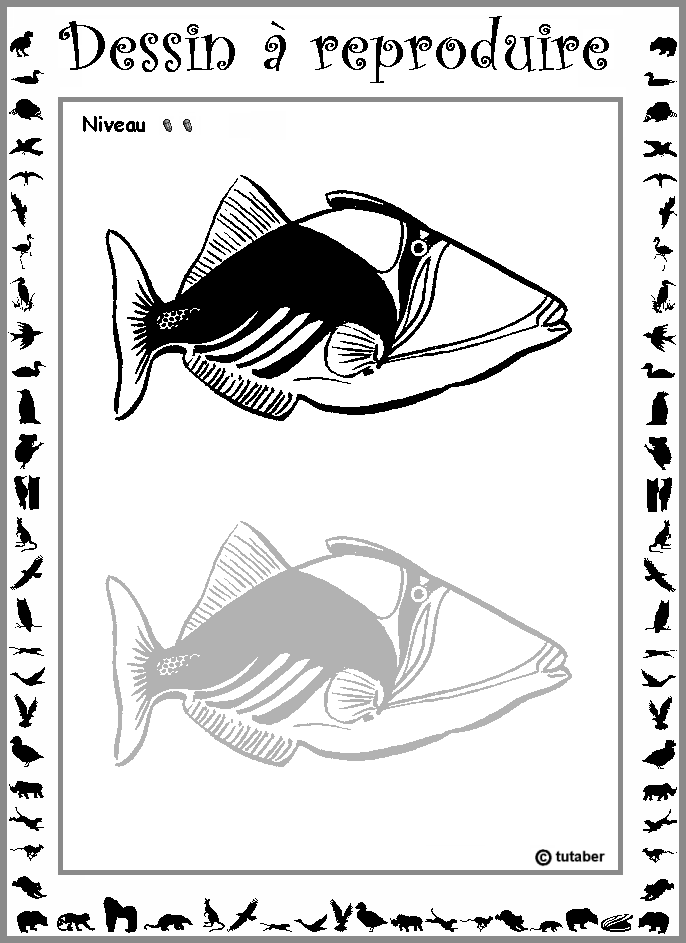 Dessiner un poisson (baliste) : niveau 2