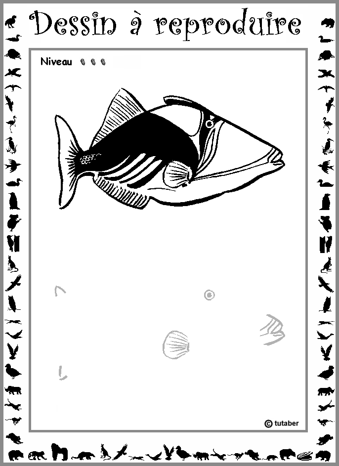 Dessiner un poisson (baliste) : niveau 3