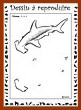 Aperu requin-marteau  : niveau 3