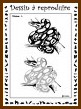 Aperu dessiner serpent niveau 1