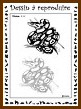 Aperu dessiner serpent niveau 2