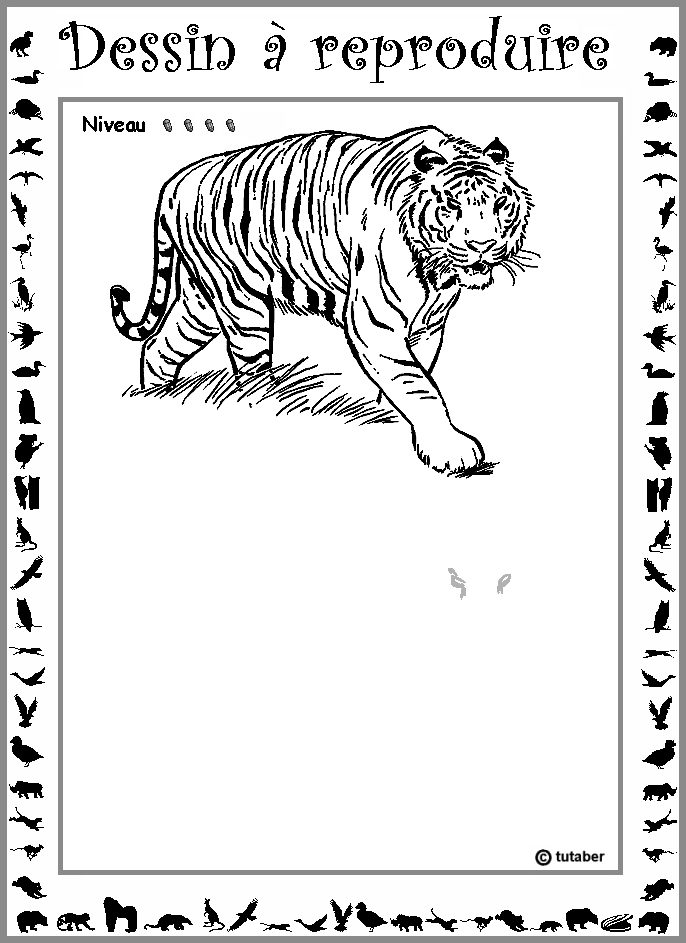 Dessiner un tigre