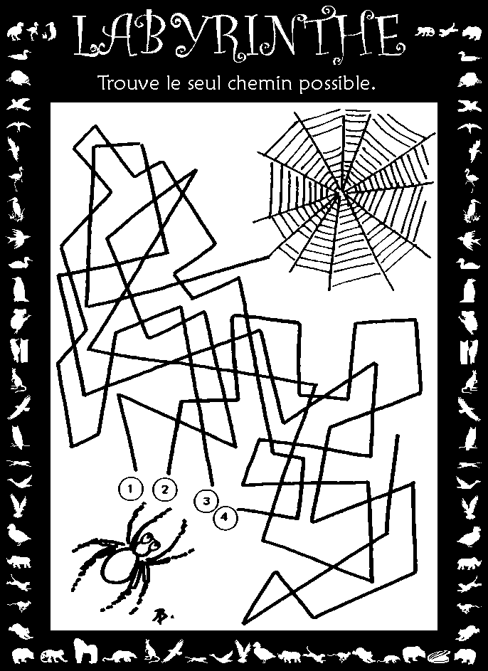 Labyrinthe : toile d'araigne