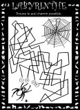 Aperu labyrinthe araigne