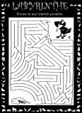 Aperu labyrinthe corbeau