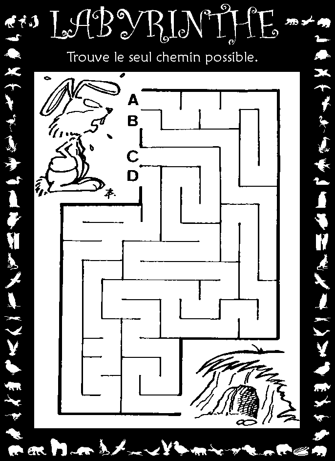 Labyrinthe : lapin gar
