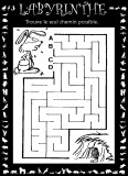 Aperu labyrinthe lapin