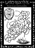 Aperu labyrinthe lion