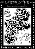 Aperu labyrinthe chimpanz