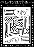 Aperu labyrinthe souris