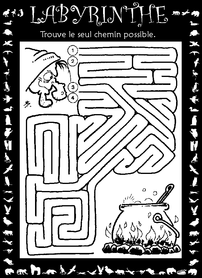 Labyrinthe : sorcire et chaudron