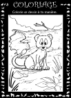 Aperu coloriage lionceau