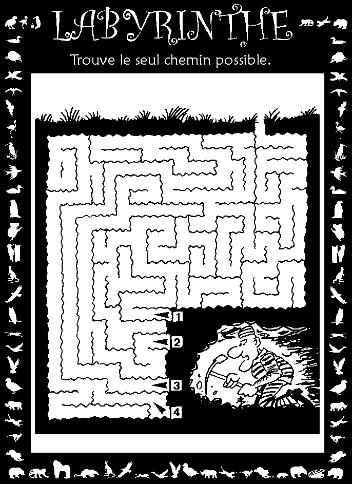 Labyrinthe : vasion sous-terraine