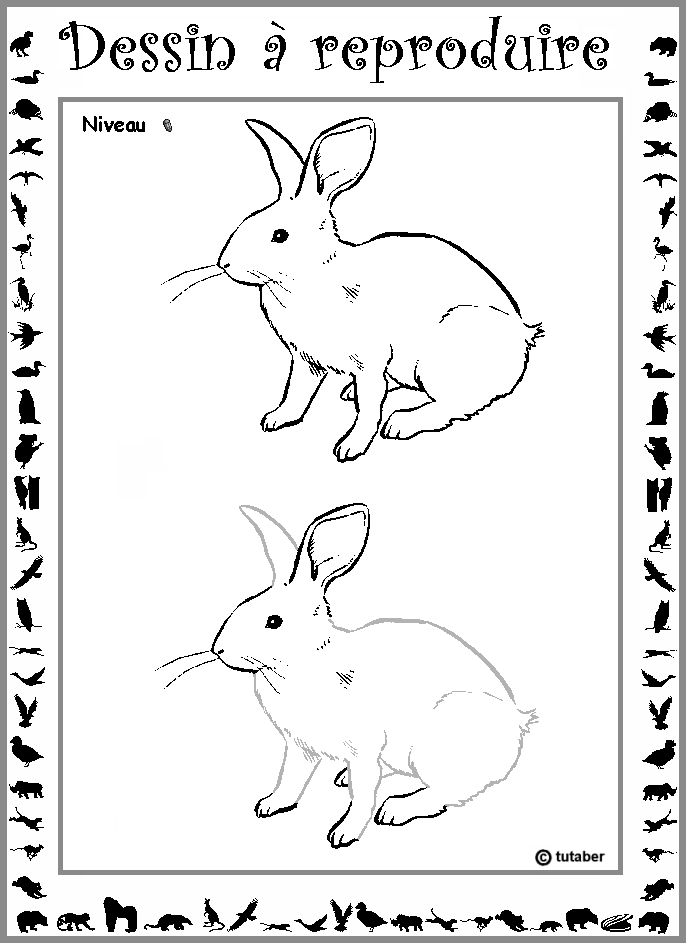 Dessiner un lapin : niveau 1